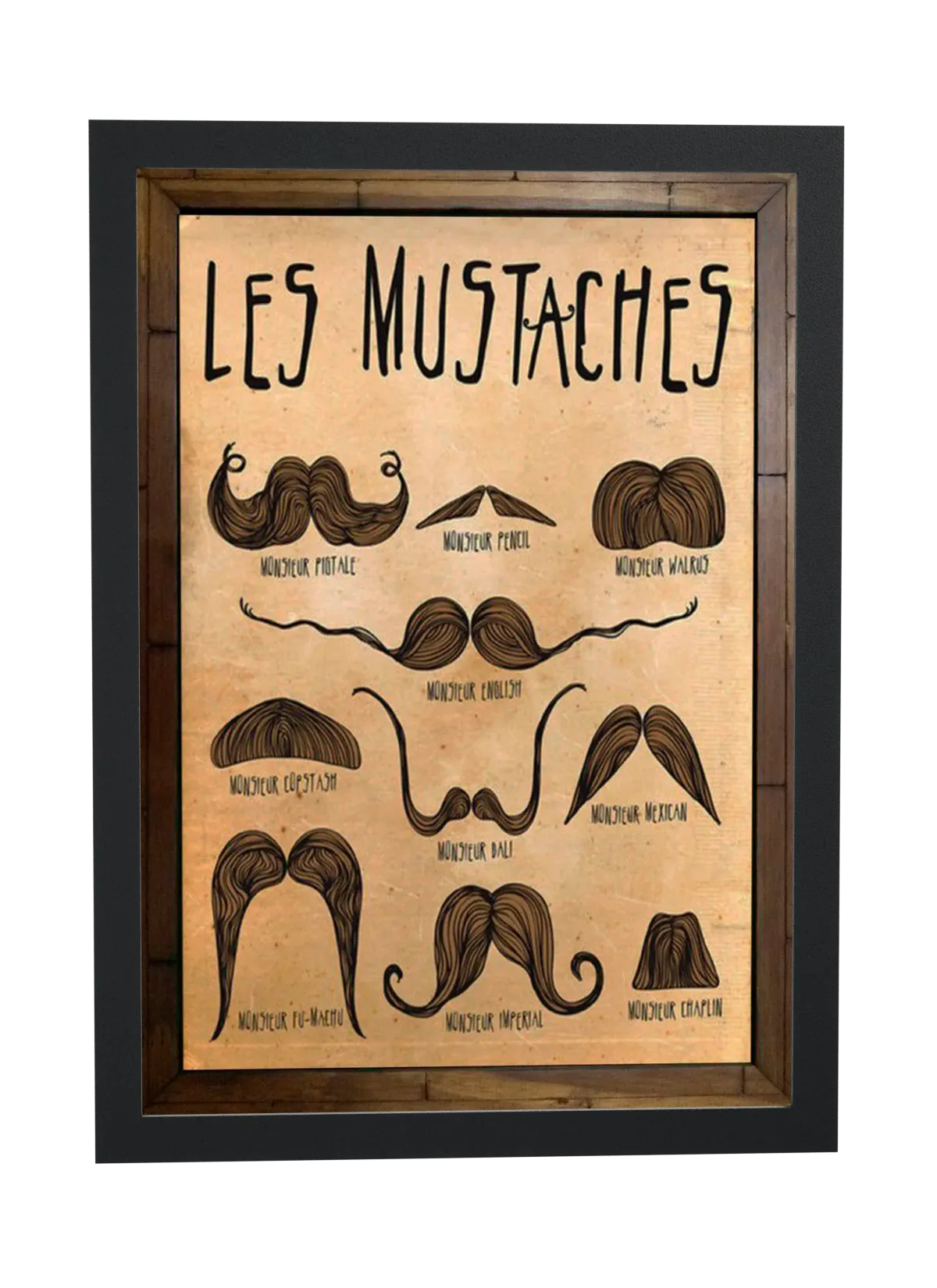 Pôster Guia ilustrado de bigodes emoldurado