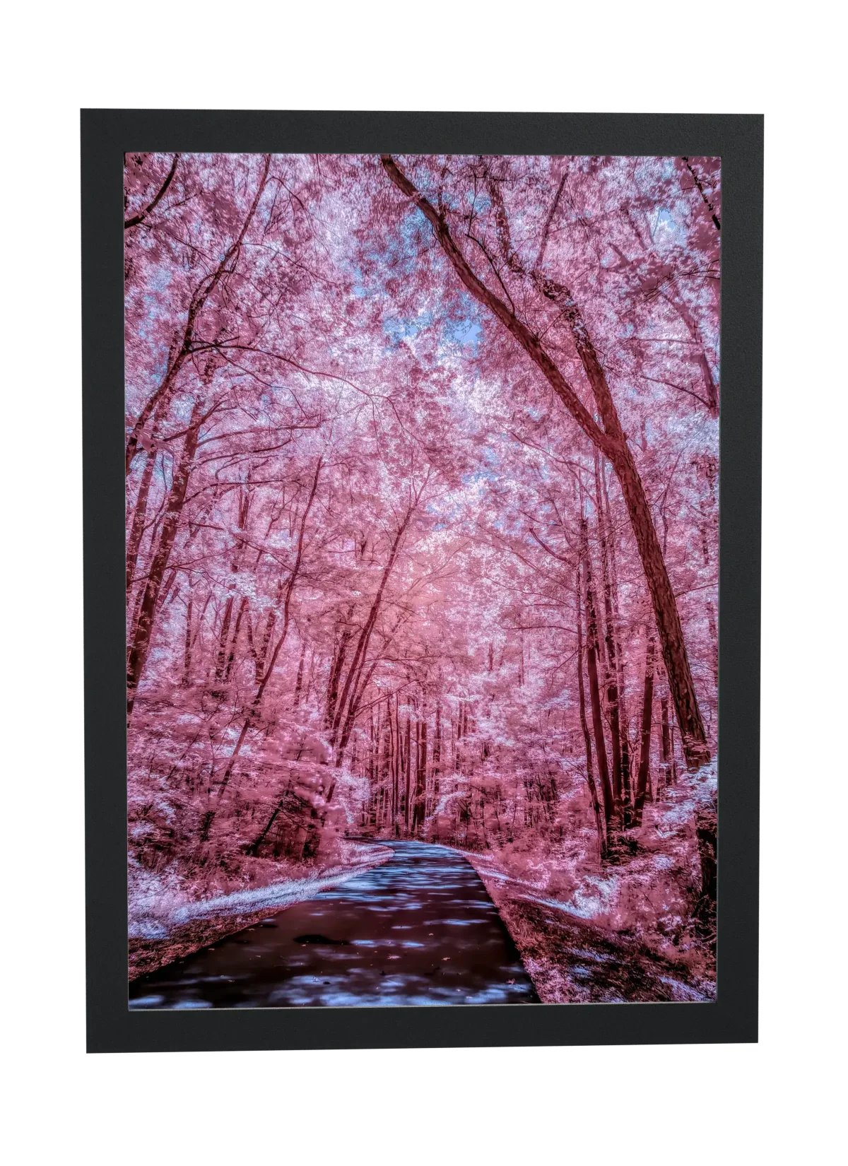 Pôster Caminho sob árvores rosadas emoldurado