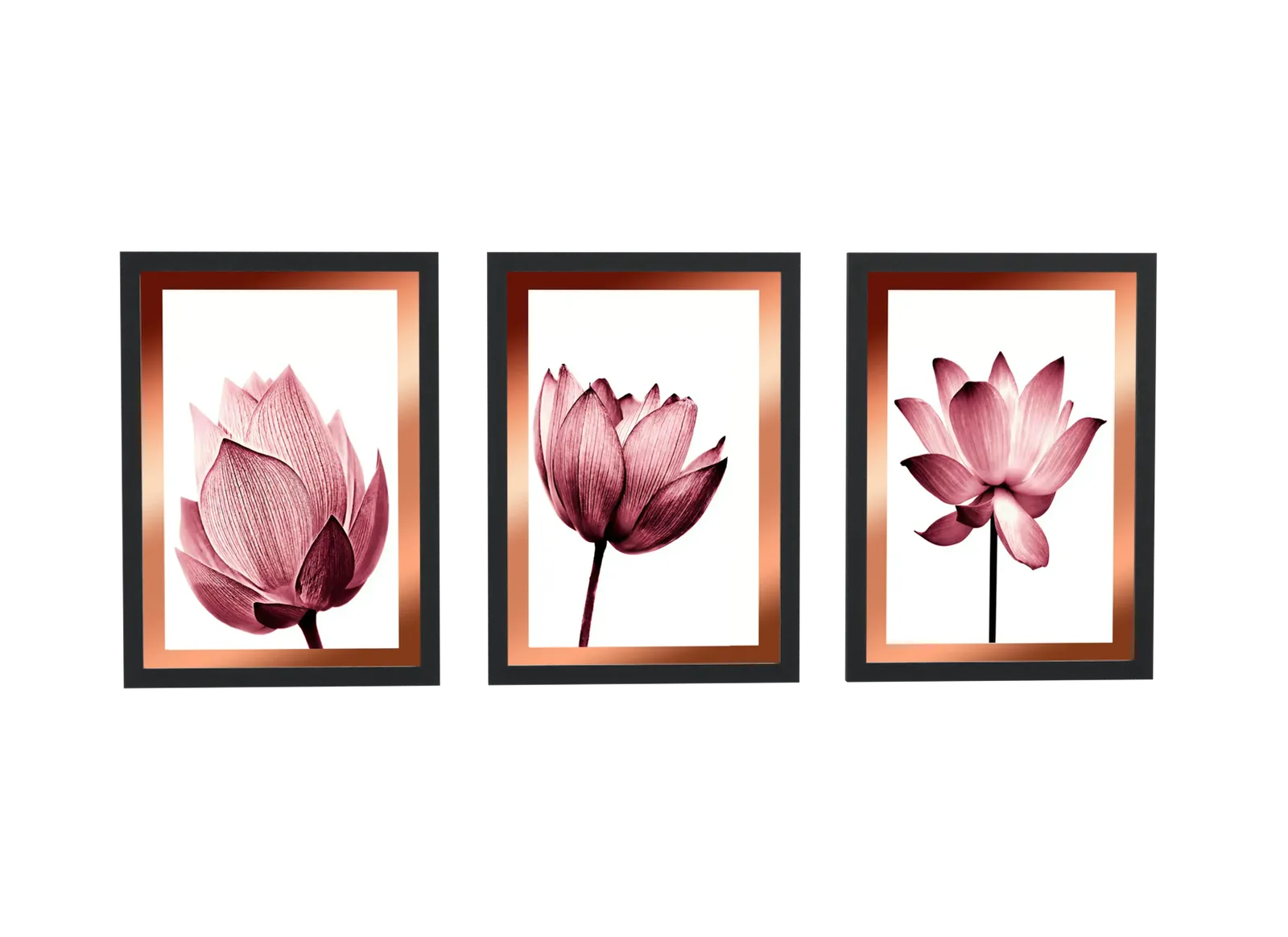 Pôster Trio de flor de lótus em tons de rosa emoldurado
