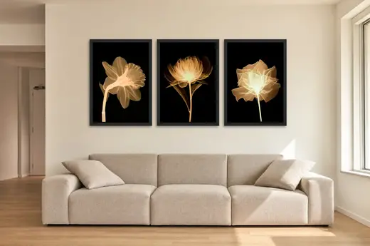 Pôster Trio de flores em raio-x dourado emoldurado na parede: sala de estar ampla