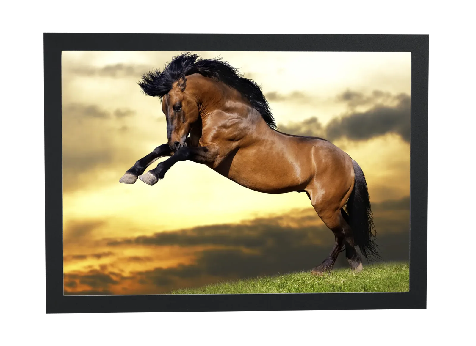 Pôster Cavalo empinando ao pôr do sol emoldurado