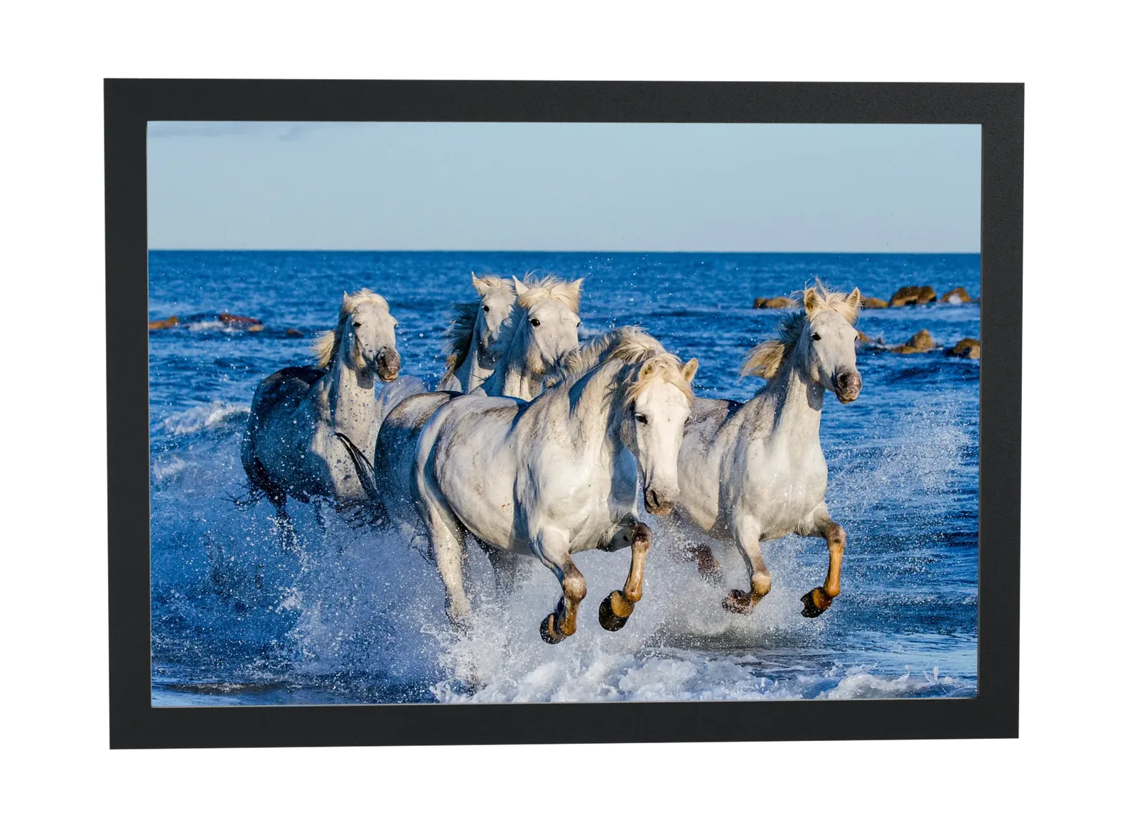 Pôster Cavalos brancos galopando no mar emoldurado