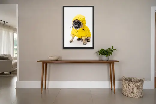 Pôster Pug de capa de chuva amarela emoldurado na parede: hall de entrada