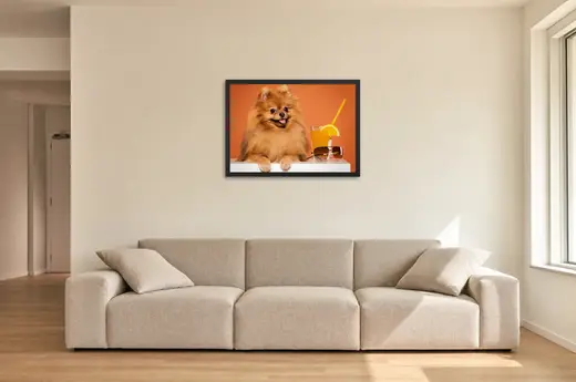 Pôster Lulu-da-pomerânia com suco de laranja emoldurado na parede: sala de estar ampla
