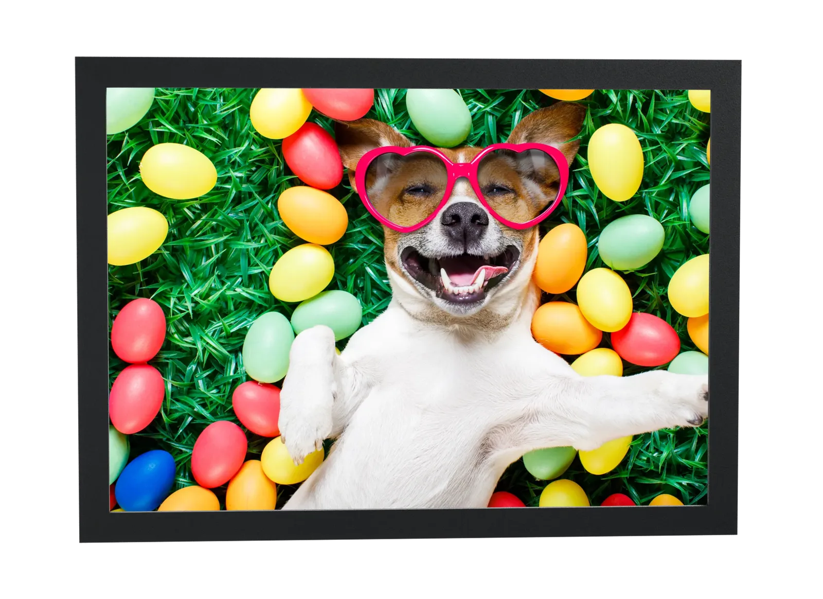Pôster Cachorro feliz entre ovos coloridos emoldurado