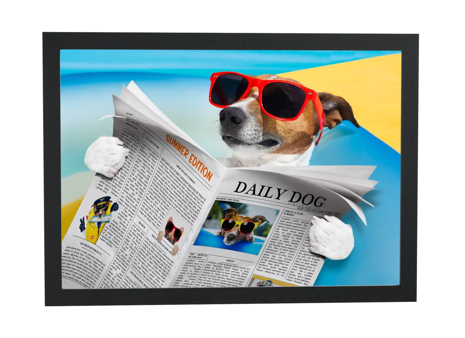 Pôster Cachorro lendo o jornal Daily Dog emoldurado