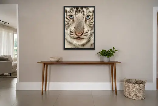 Pôster Filhote de tigre-branco de olhos azuis emoldurado na parede: hall de entrada