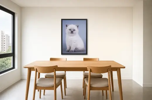 Pôster Gatinho branco de olhos azuis emoldurado na parede: sala de jantar