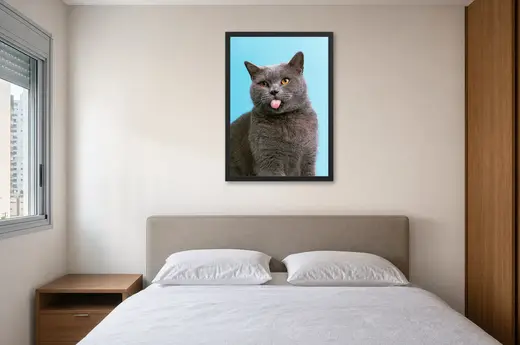 Pôster Gato cinza mostrando a língua emoldurado na parede: quarto de casal