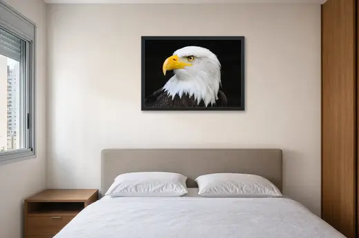 Pôster Águia-americana de perfil emoldurado na parede: quarto de casal