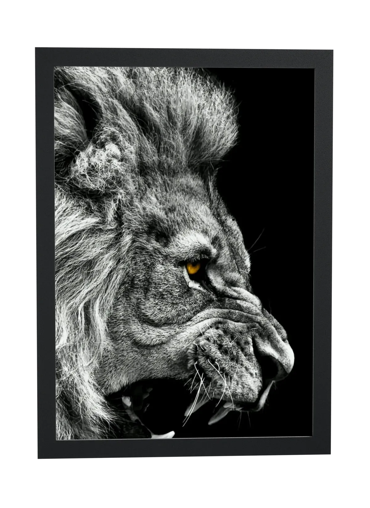 Pôster Leão rugindo em preto e branco emoldurado