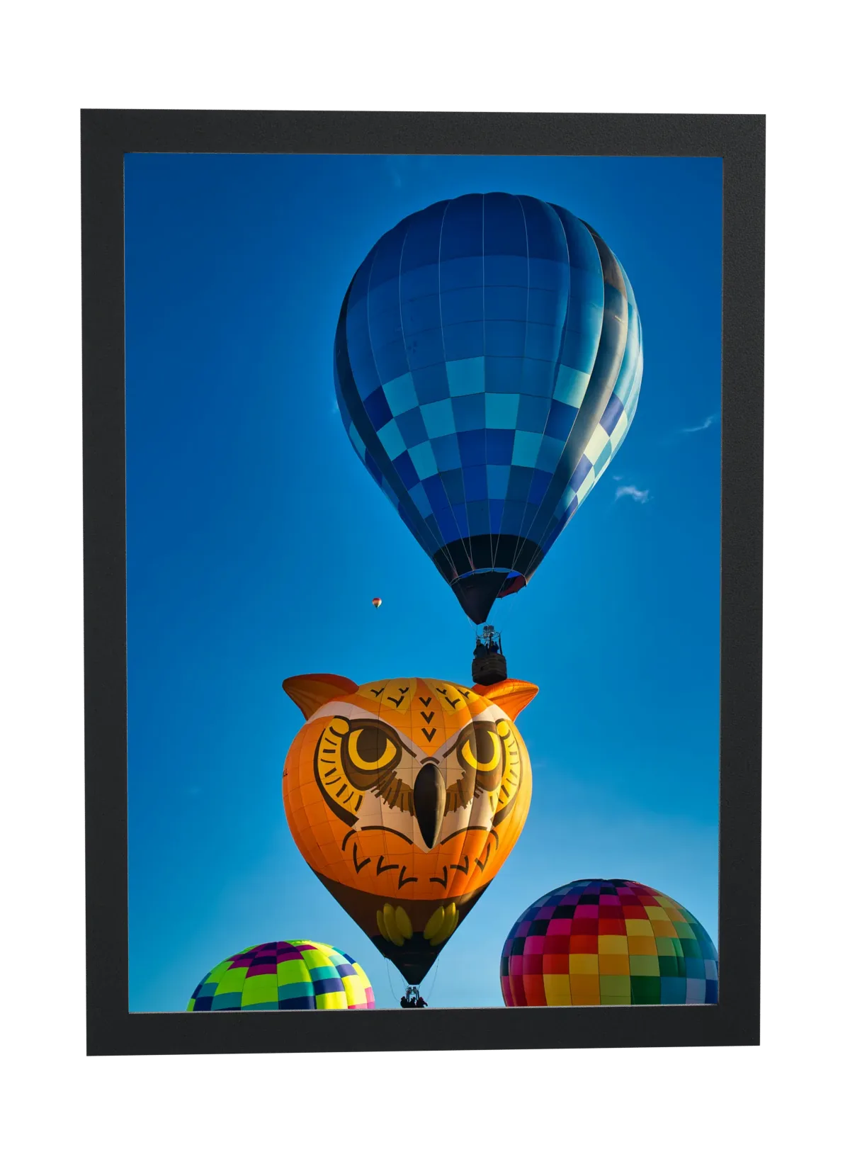 Pôster Balão em forma de coruja emoldurado