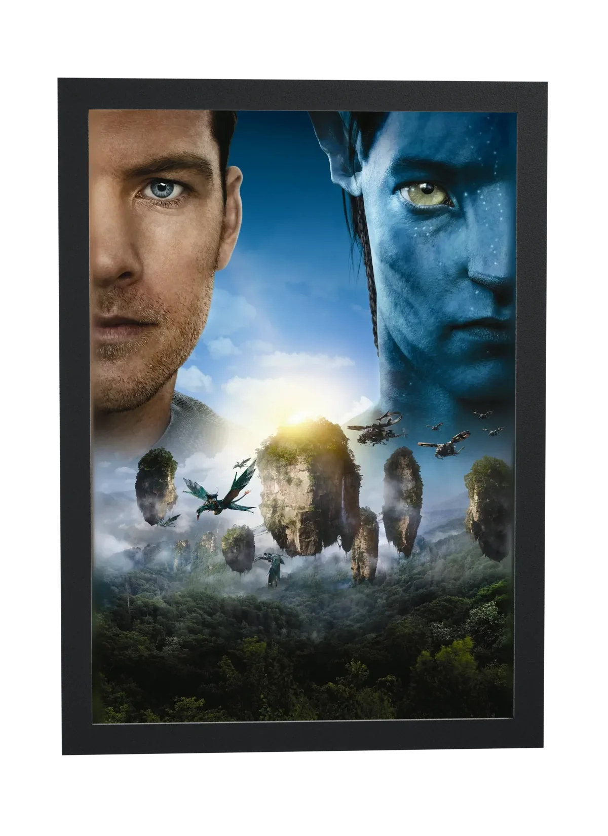 Pôster Avatar (2009): Jake Sully e as montanhas flutuantes emoldurado