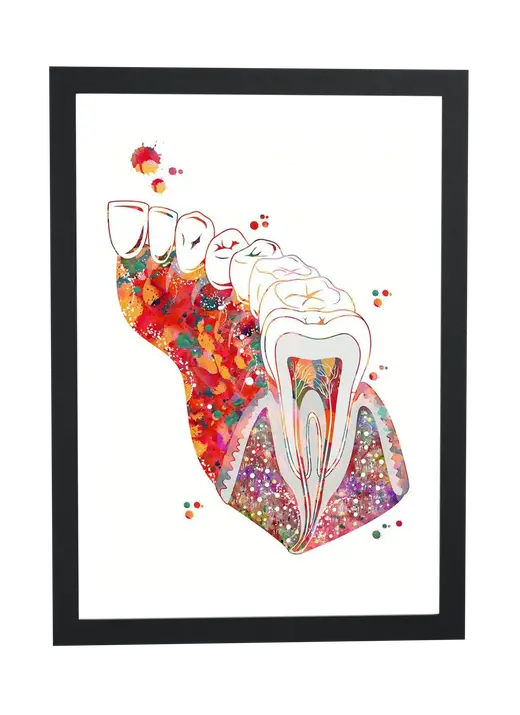 Pôster Anatomia do dente em aquarela emoldurado
