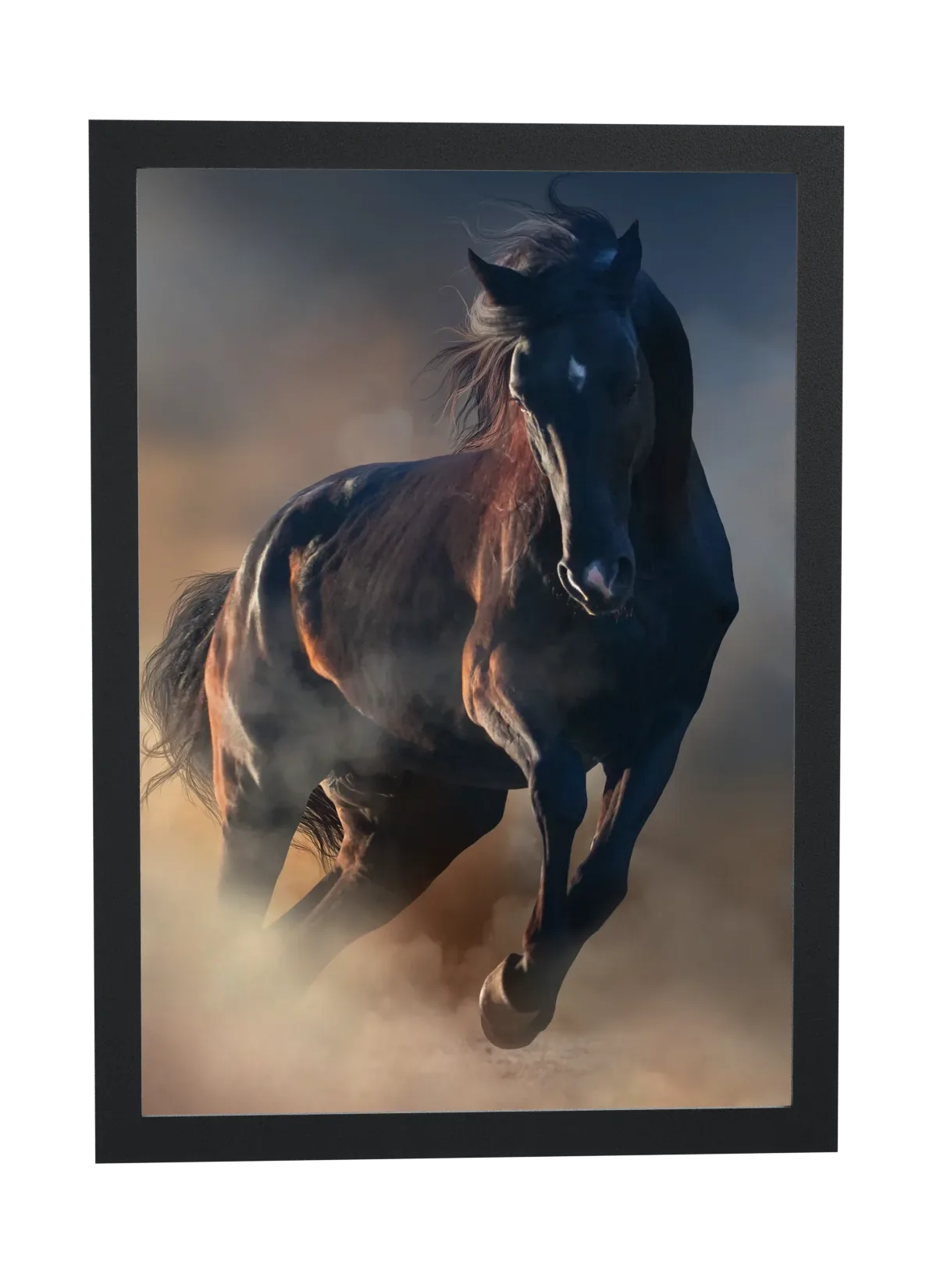 Pôster Cavalo preto correndo na poeira emoldurado