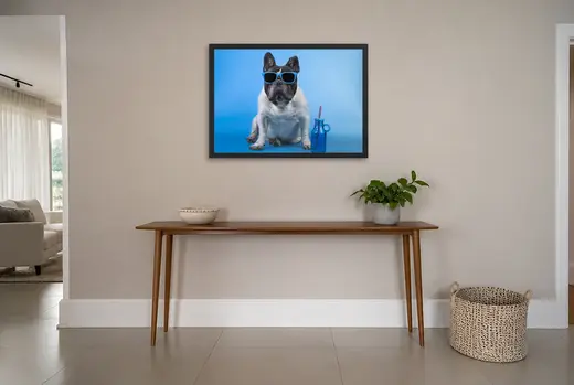 Pôster Buldogue francês de óculos escuros emoldurado na parede: hall de entrada