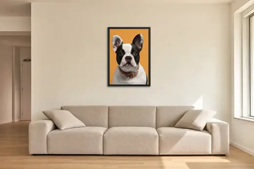 Pôster Filhote de buldogue francês de coleira emoldurado na parede: sala de estar ampla