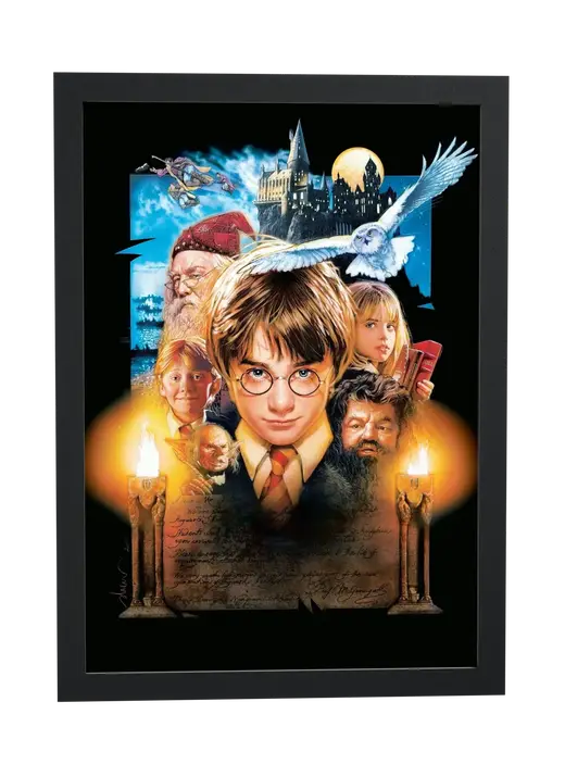 Pôster Harry Potter e a Pedra Filosofal (2001): Harry e Hedwig emoldurado