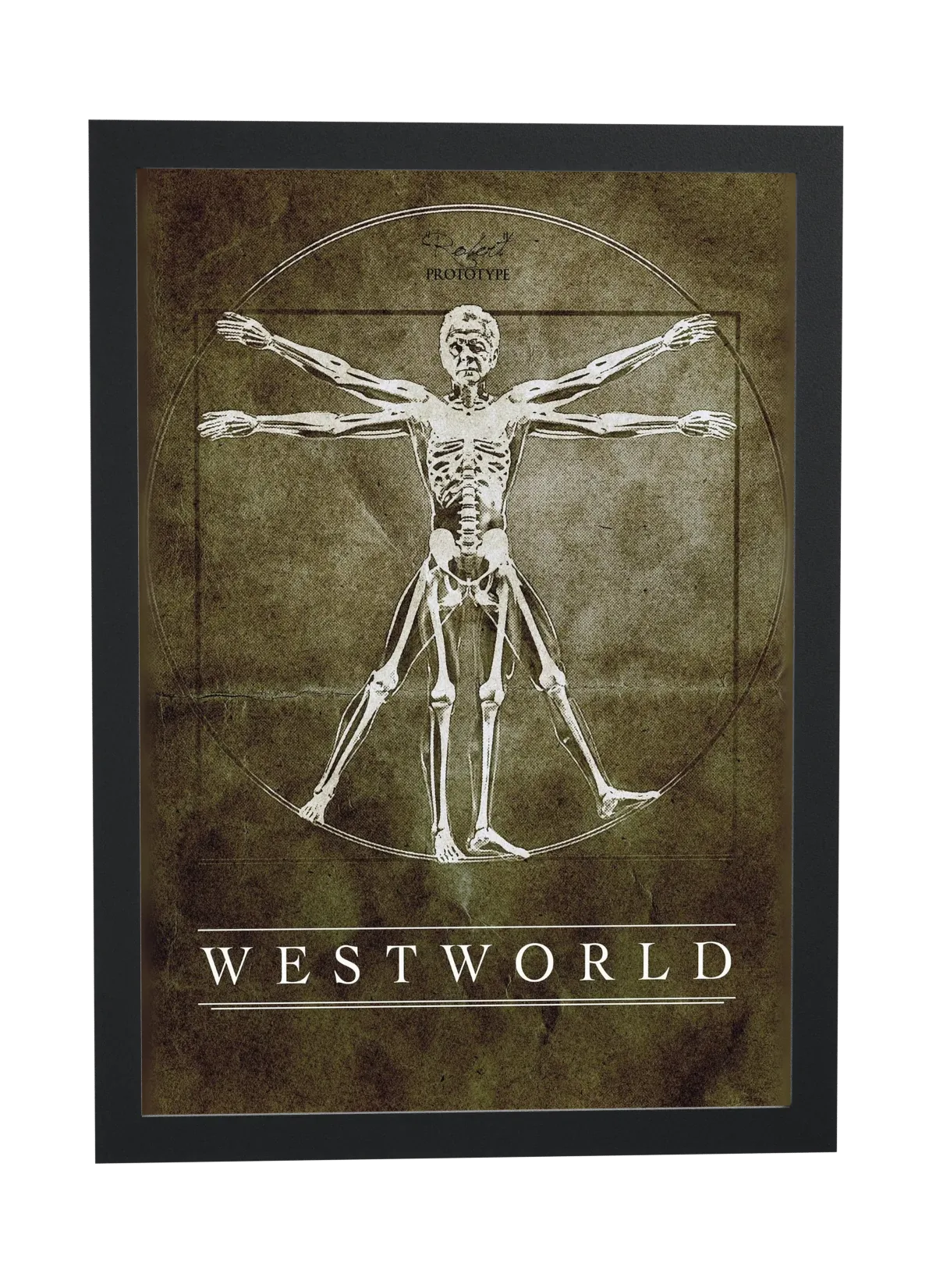 Pôster Westworld (2016): diagrama do andróide emoldurado
