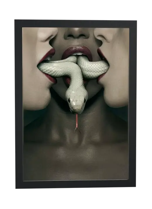 Pôster American Horror Story (2013): serpente entre os lábios emoldurado