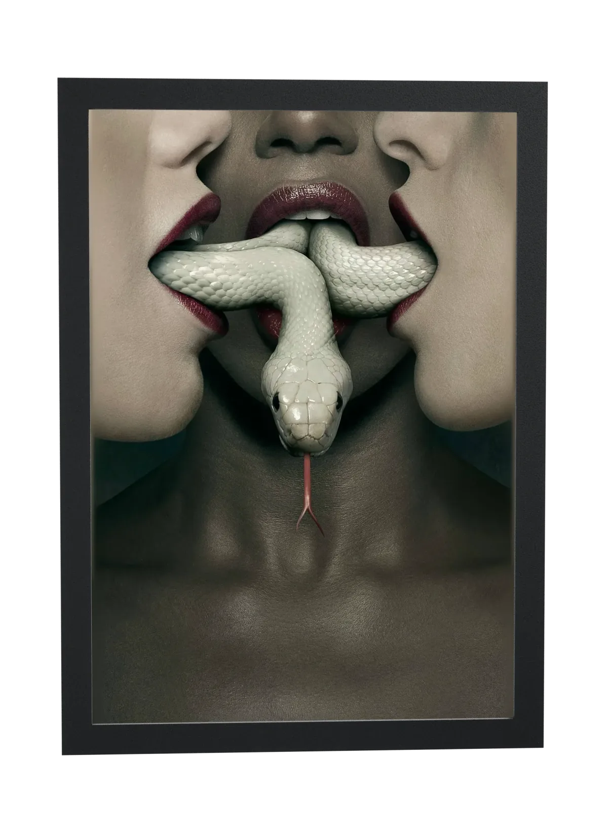Pôster American Horror Story (2013): serpente entre os lábios emoldurado